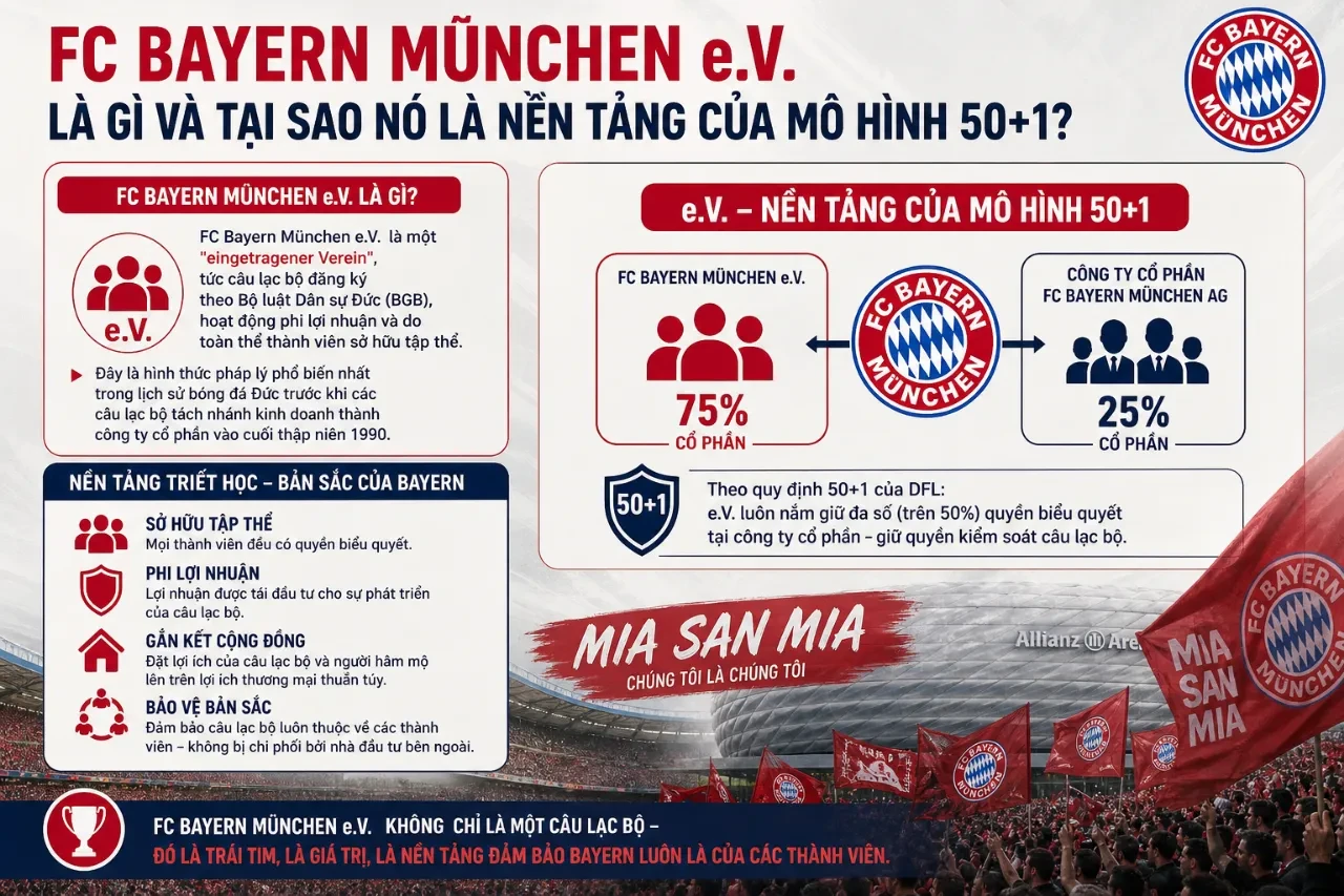Sơ đồ tổ chức cấu trúc câu lạc bộ hội viên phi lợi nhuận FC Bayern München e.V.