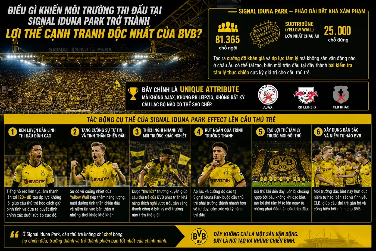 Bầu không khí cuồng nhiệt tại sân vận động Signal Iduna Park