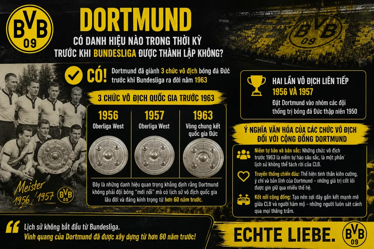 Tổng Hợp Danh Hiệu Borussia Dortmund: Từ Bundesliga Đến Champions League