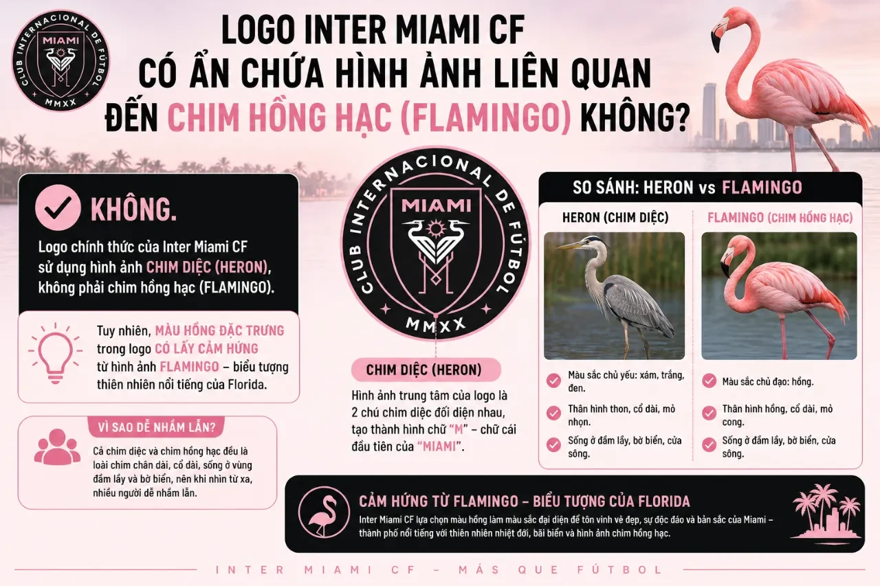 Sự khác biệt trực quan giữa hình tượng chim diệc và nguồn cảm hứng hồng hạc